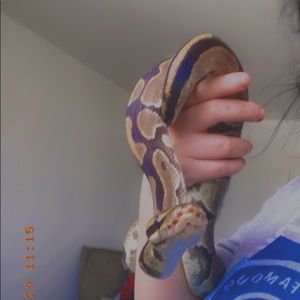 Meet your Posher, Jamie